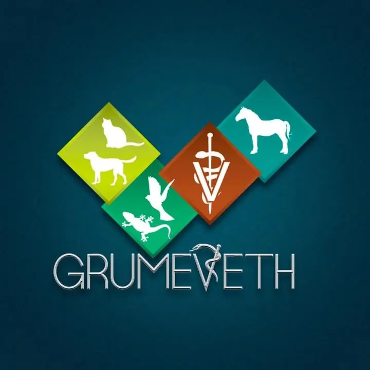 GRUMEVETH Grupo Médico Veterinario de Hidalgo
