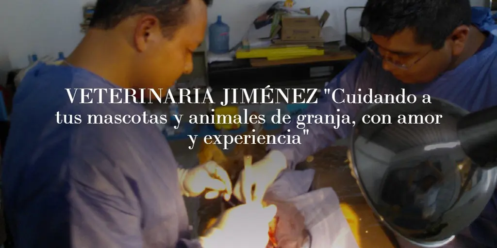 VETERINARIA JIMÉNEZ