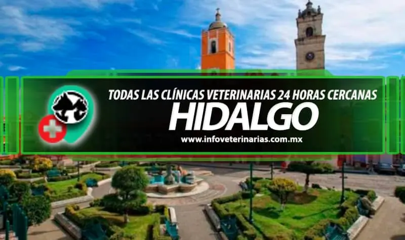 Veterinaria Rey Kan II