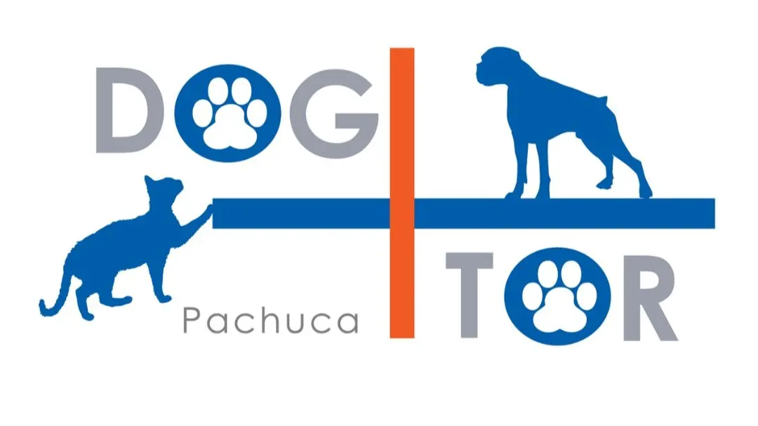 Especialidades veterinarias Dog+tor