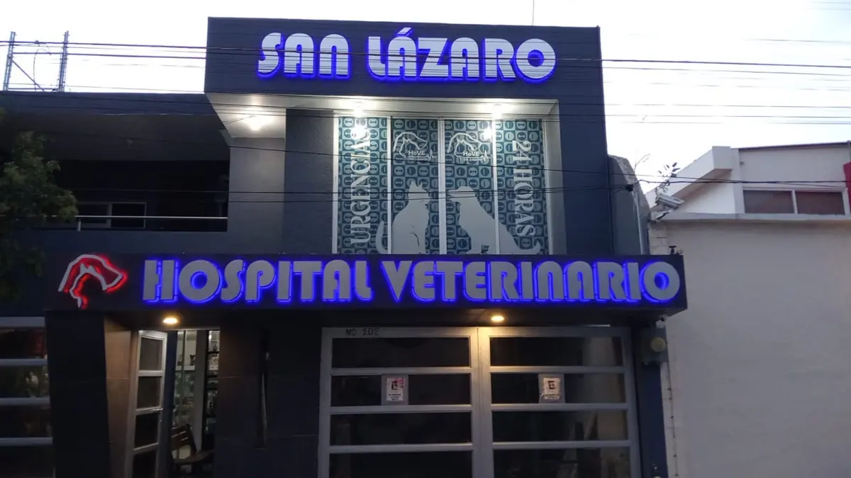 Hospital Veterinario de Especialidades San Lázaro