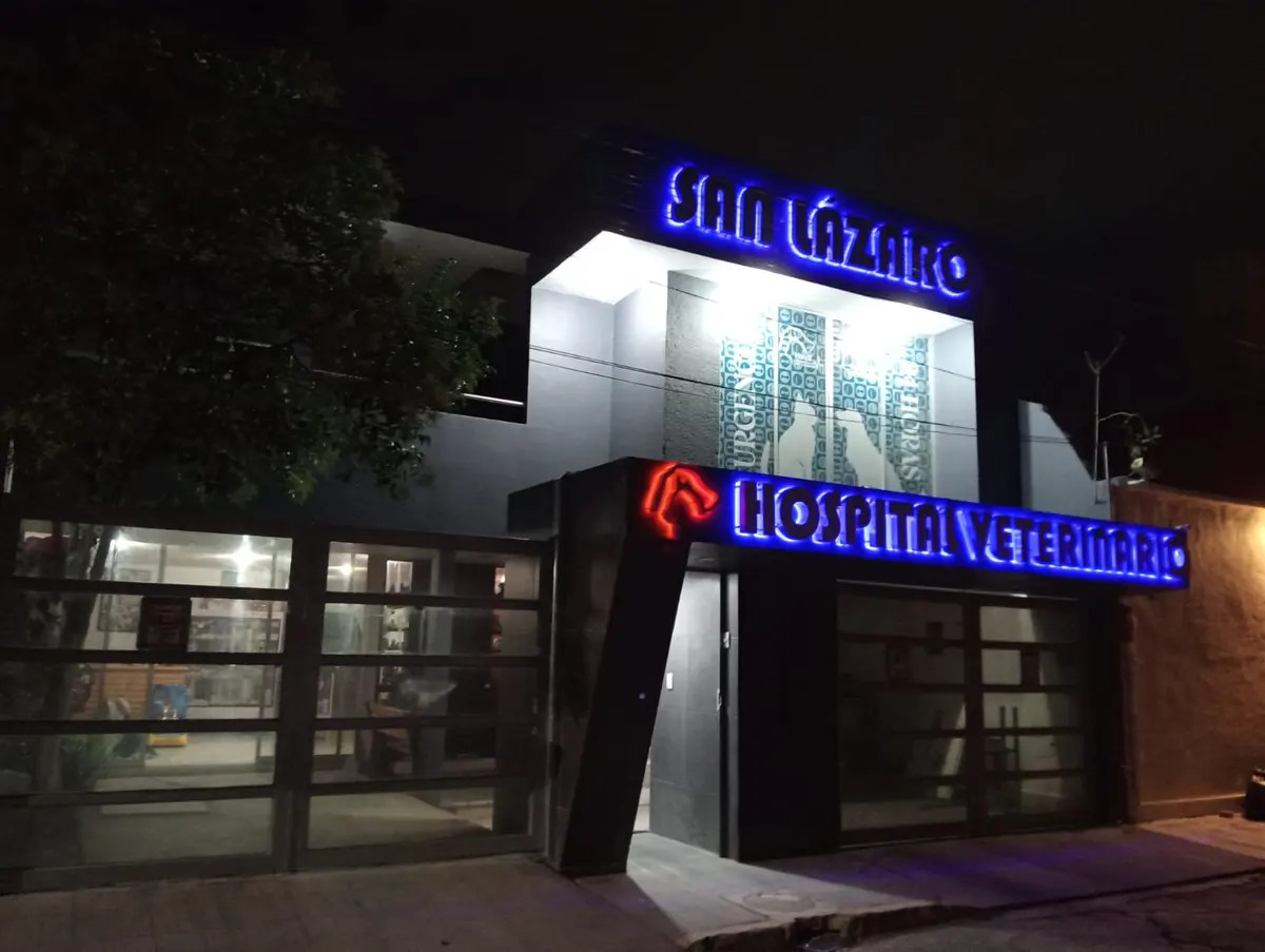 Hospital Veterinario de Especialidades San Lázaro — foto 2 de 3