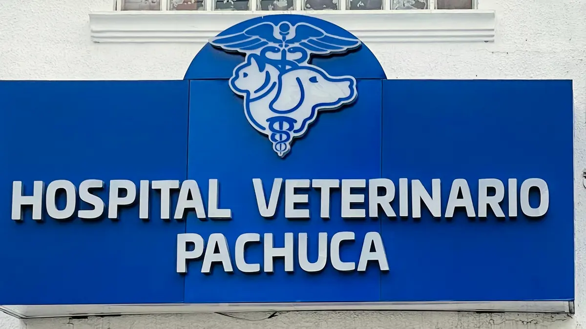 Hospital Veterinario Pachuca