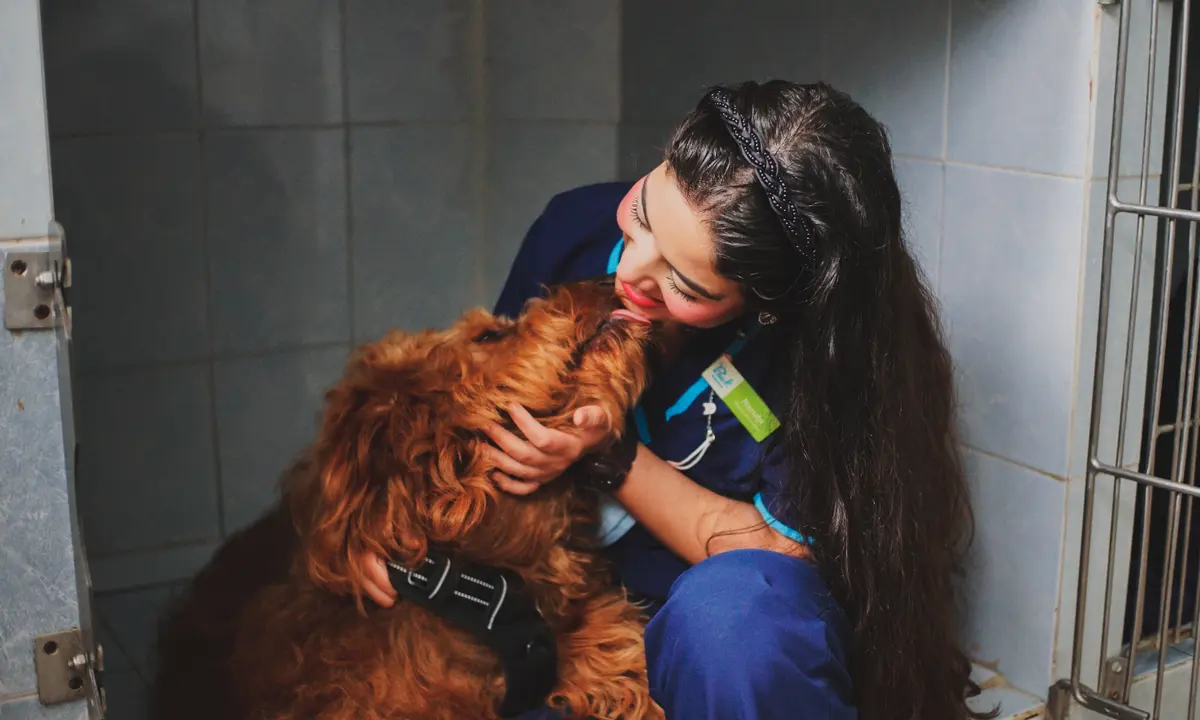 Peek Hospital Veterinario en Pachuca | Oftalmólogo Veterinario en Pachuca | Veterinaria 24 Horas