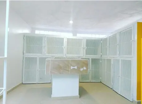 Ramtell Hospital Veterinario — foto 3 de 4