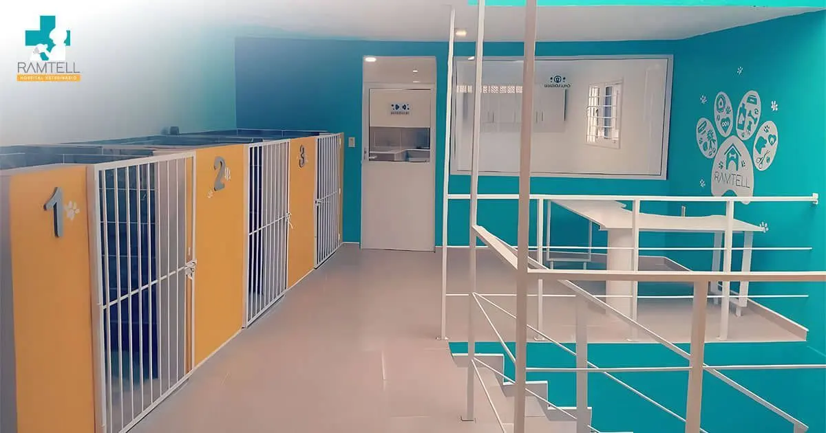 Ramtell Hospital Veterinario