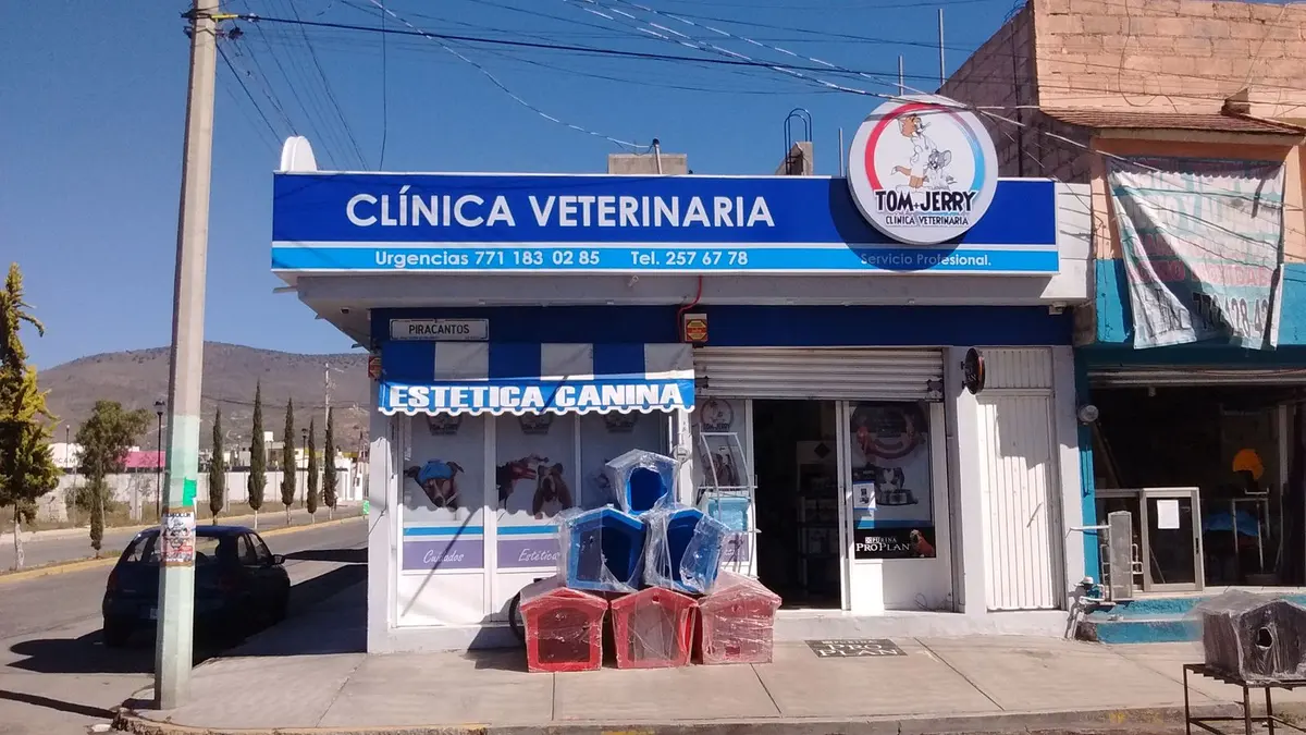 Tom+ Jerry estética canina — foto 2 de 3
