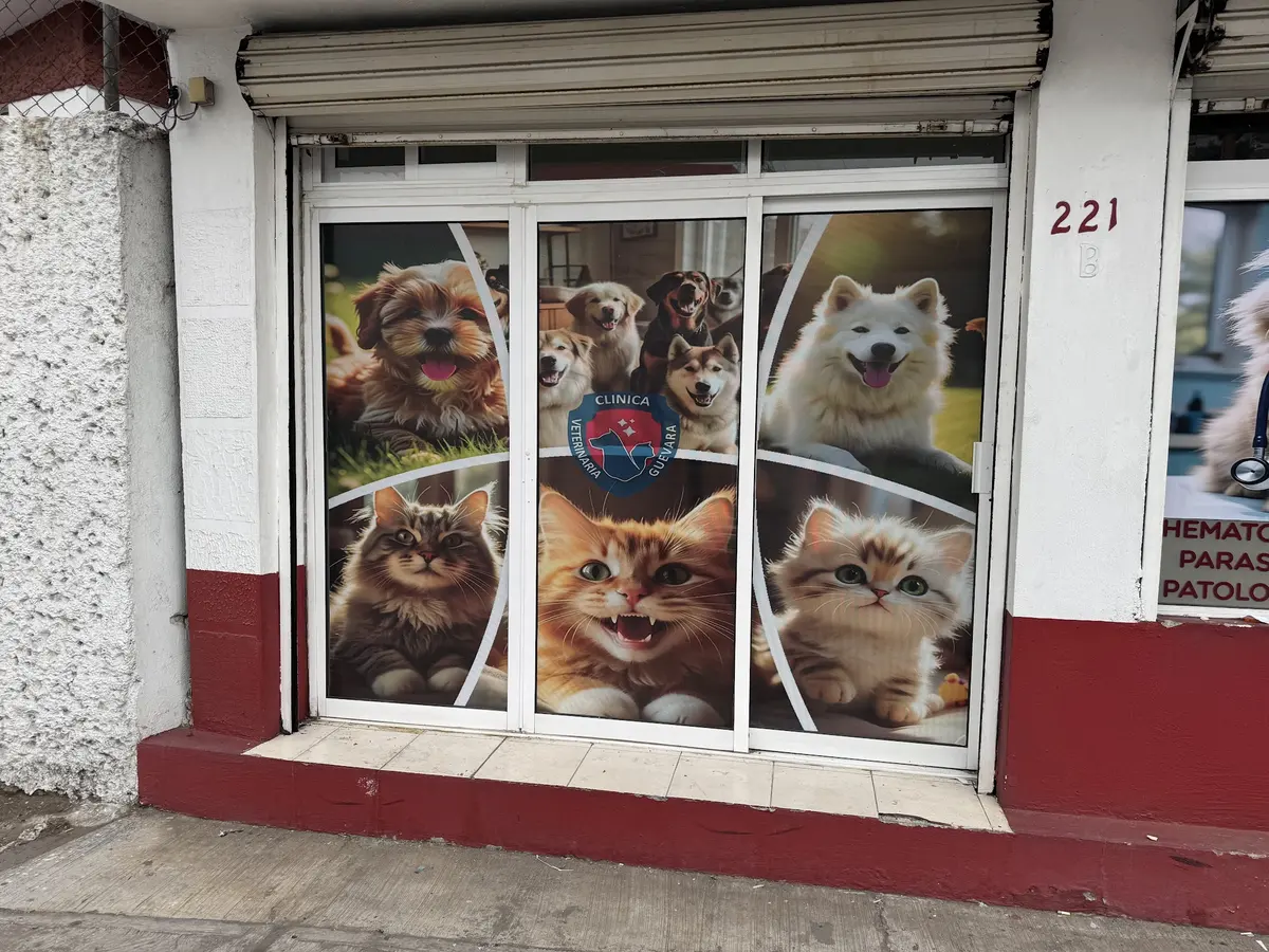 VETERINARIUM