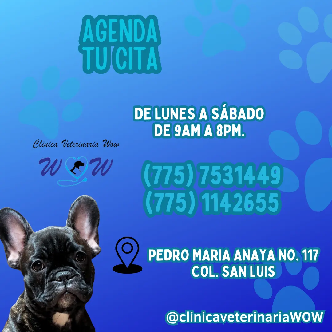 Clínica Veterinaria Wow