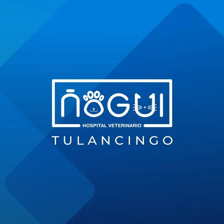 Hospital Veterinario Ñogui