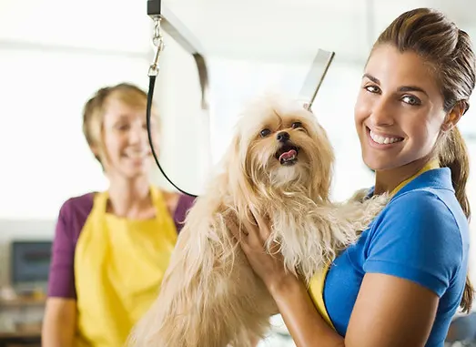 Servicios Para Tu Mascota "OH"