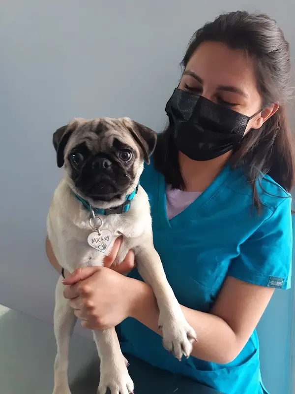 Clínica veterinaria de los Altos
