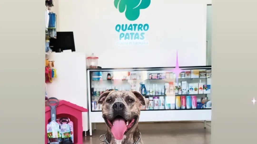 Qu4troPatas Clínica Veterinaria