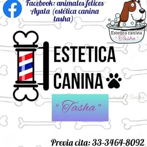 Estética canina TASHA