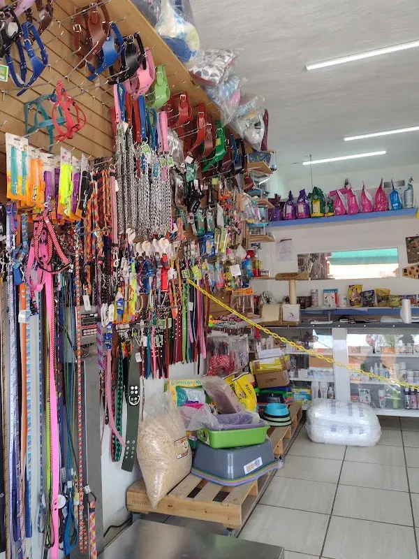 Veterinaria Avivet