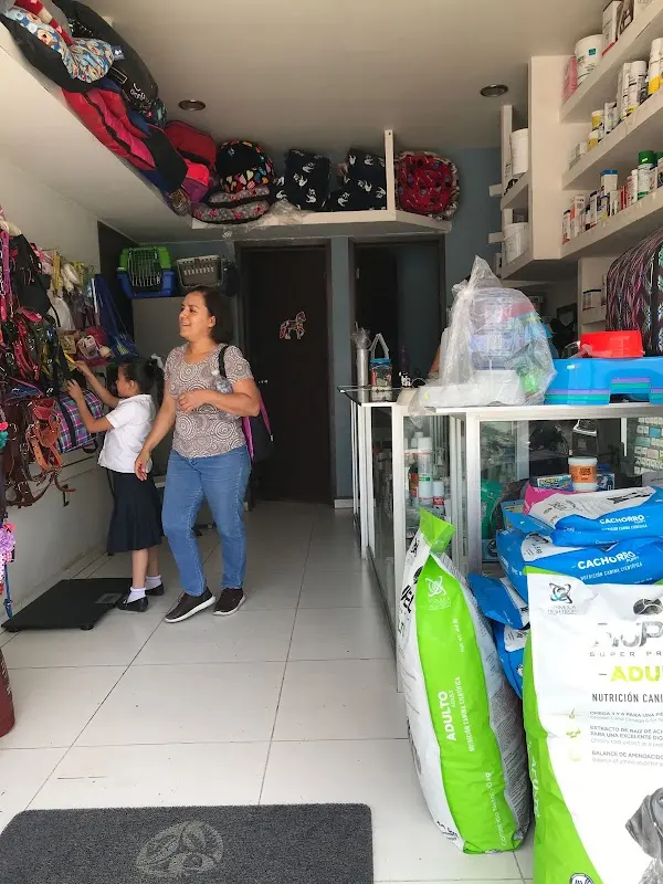 Rg Veterinaria
