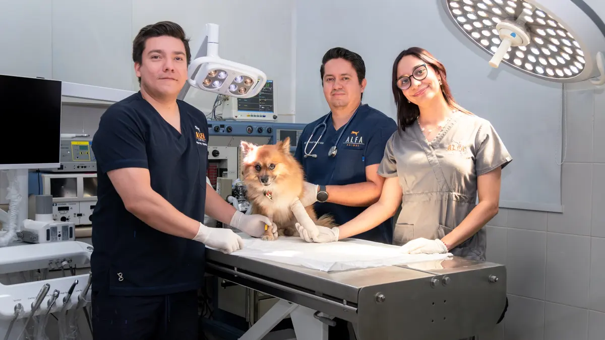 Alfa Animal Hospital Veterinario