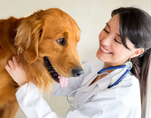 Centro Veterinario Plan de San Luis