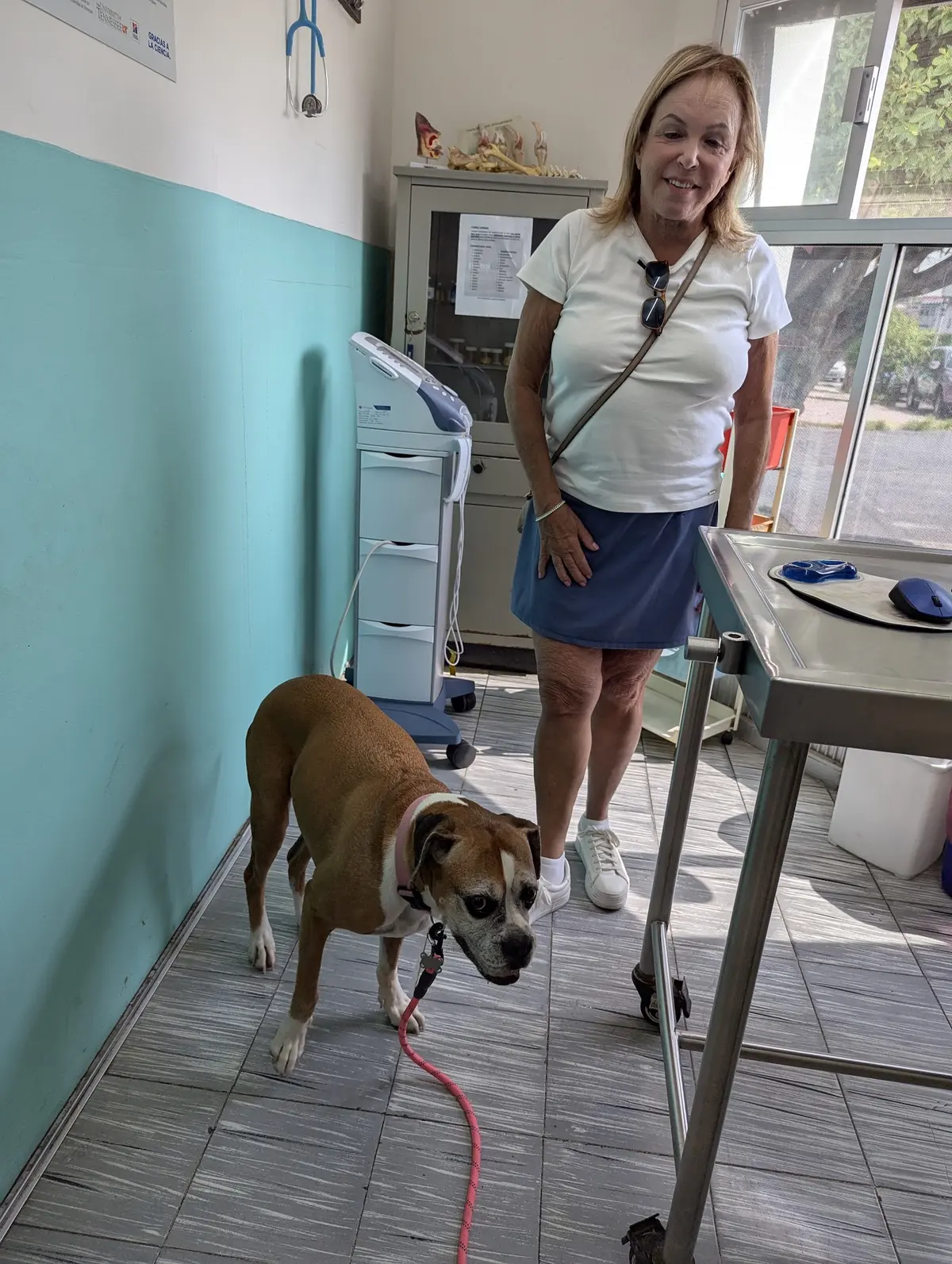 Clinica Veterinaria Animal Kingdom Suc.Porfirio