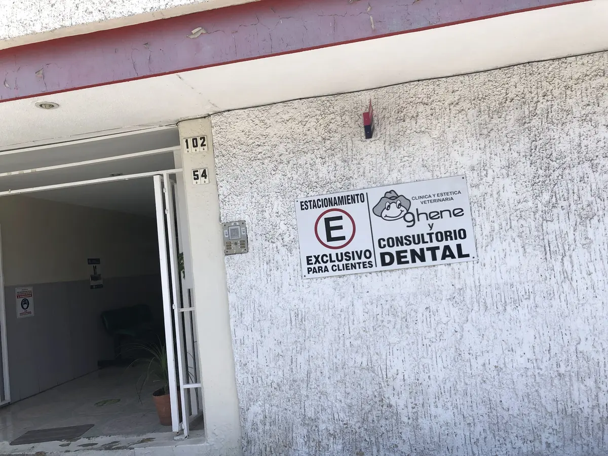 Clinica Veterinaria Ghene — foto 3 de 3