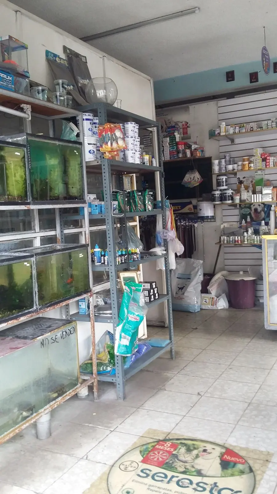 Clinica Veterinaria