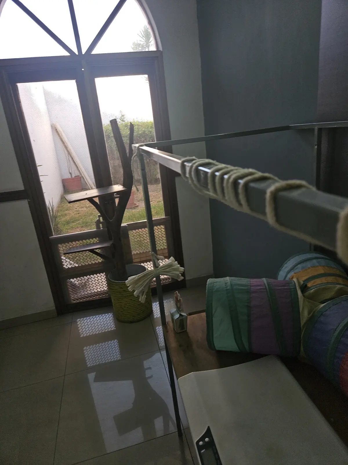 Hospital Veterinario Animal Vita