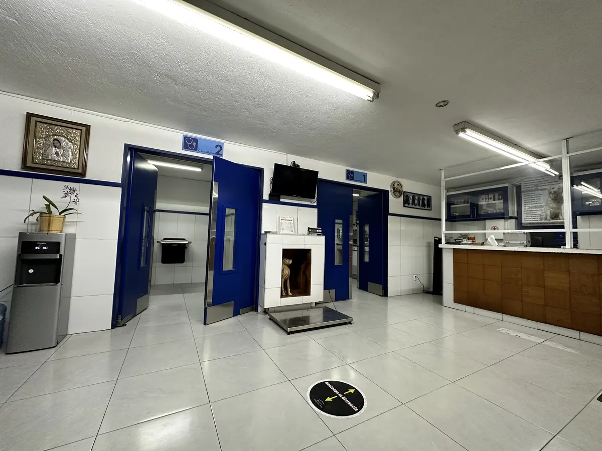 Hospital Veterinario Arboledas