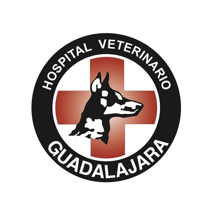 Hospital Veterinario Guadalajara