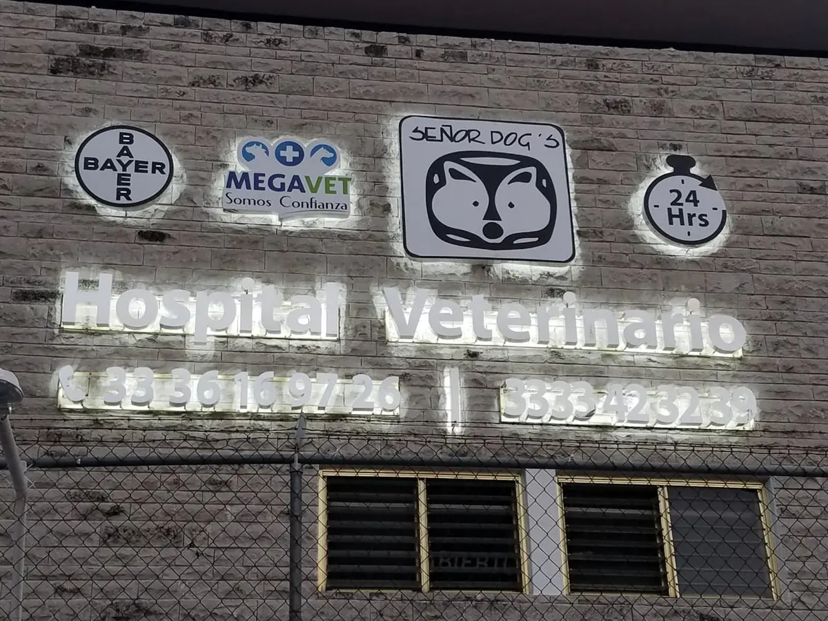 Hospital Veterinario Señor Dog´s