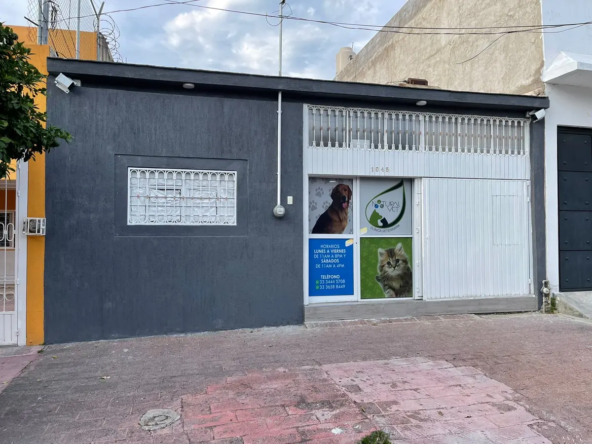 Natural vet — foto 2 de 3