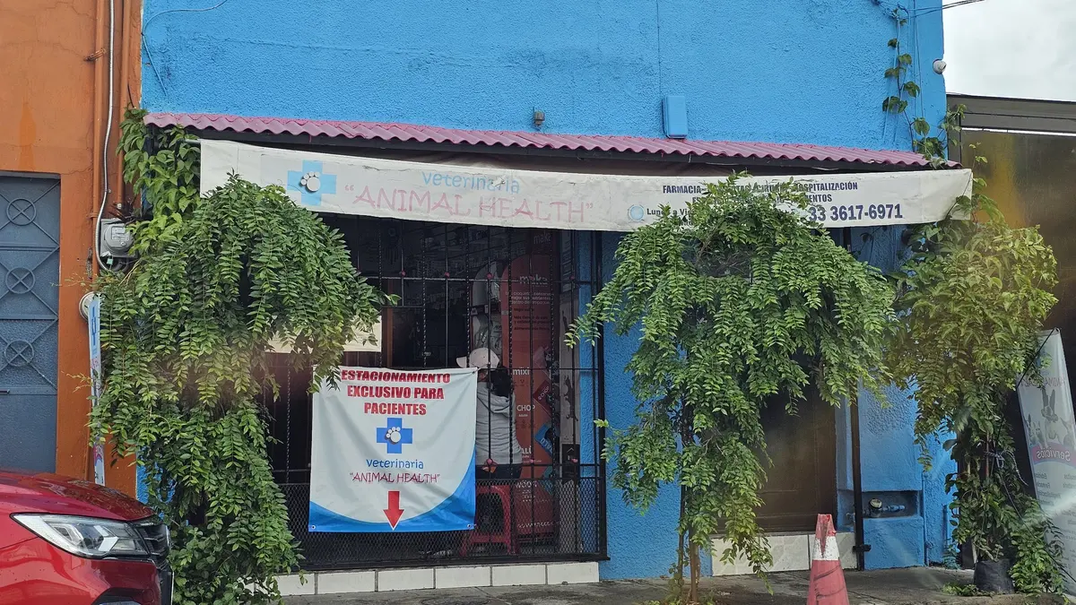 Veterinaria Animal Health — foto 3 de 3