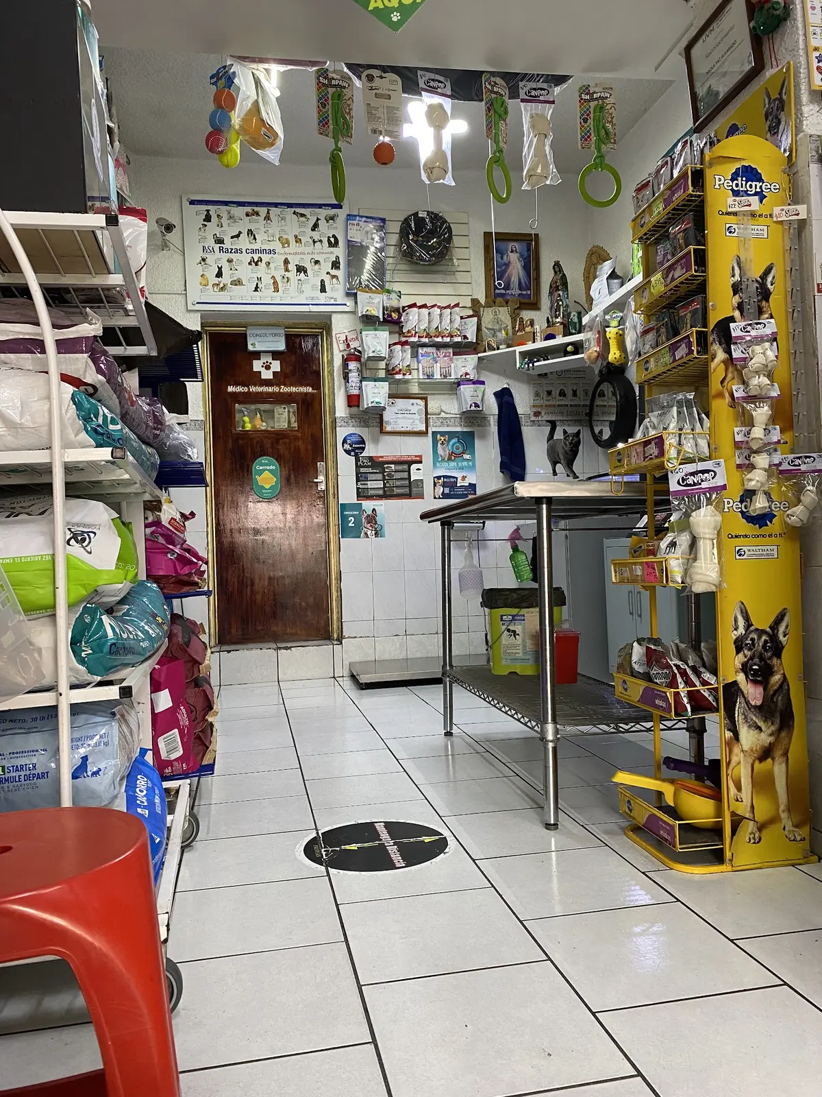 Veterinaria Animal Health — foto 2 de 3