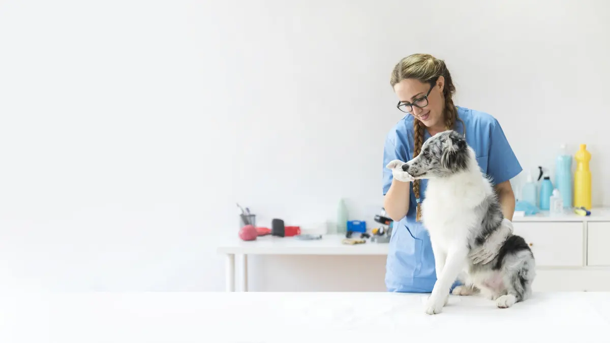 VETERINARIA ENTRE MASCOTAS