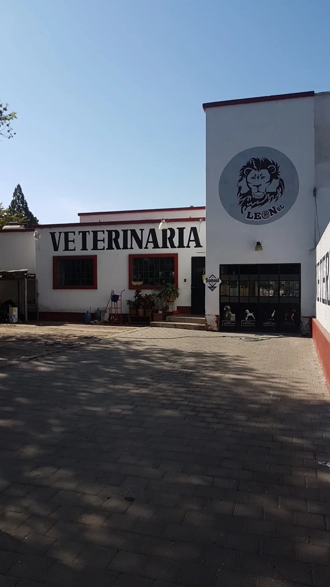 Veterinaria Leonel