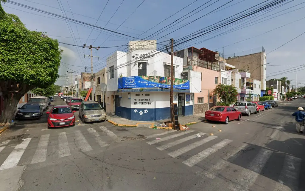 Veterinaria Santa Teresita