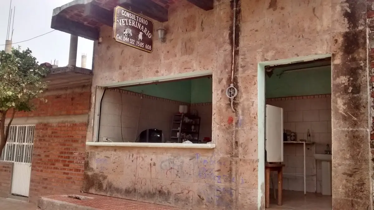 Consultorio Veterinario