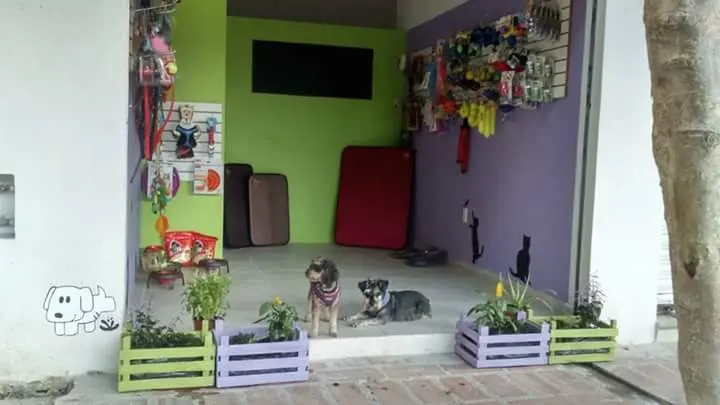 Pet's Paradise Club