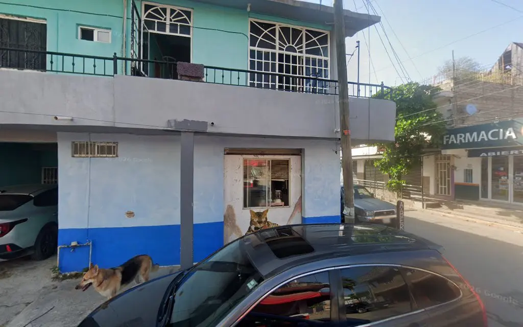 VETERINARIA DR. CESAR