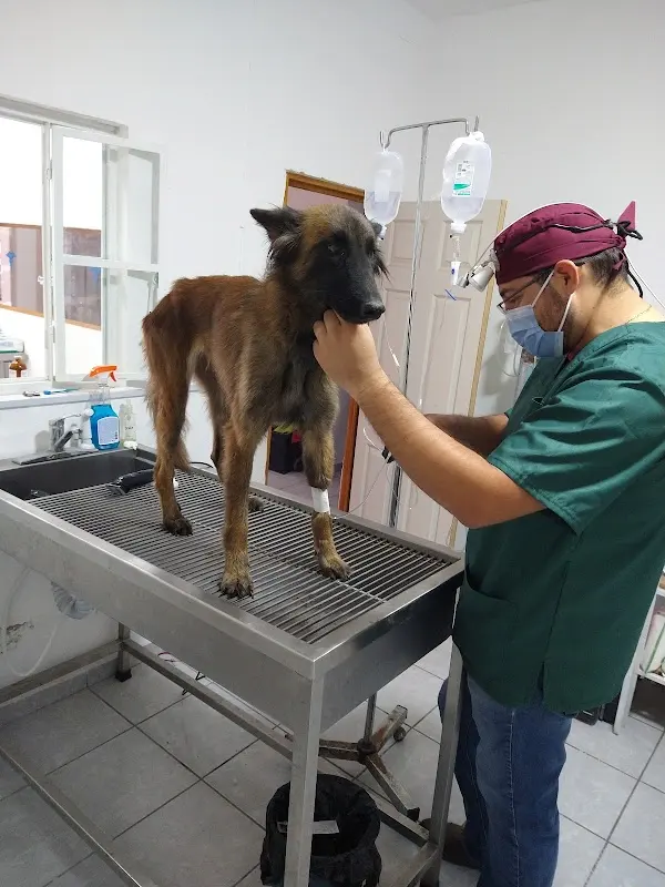 Clínica Veterinaria Australian Pets