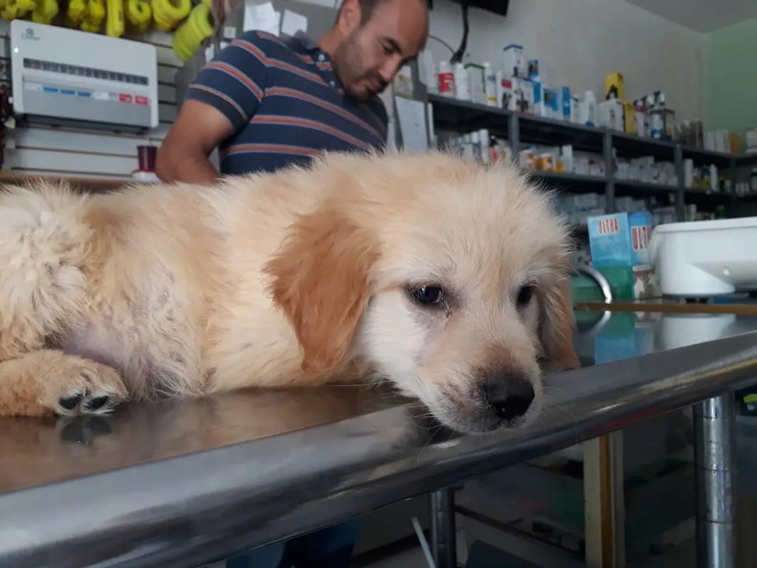Veterinaria Dr Uribe — foto 3 de 3