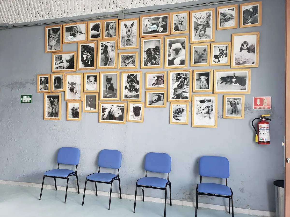 Centro Veterinario Integral Lagos