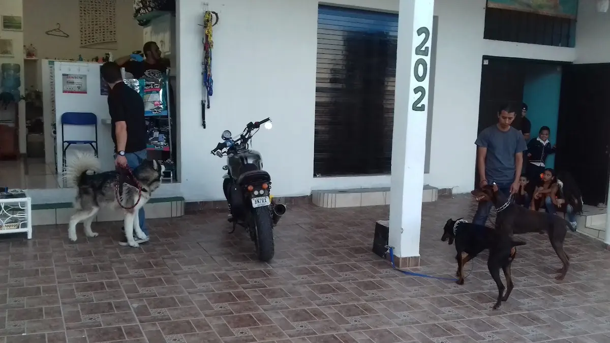 Clinica Veterinaria "P-lu-2"