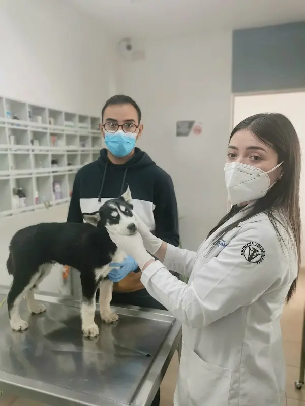 Hospital Veterinario Santa Elena