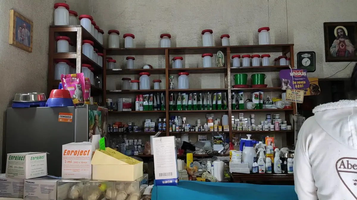 Veterinaria Lagos