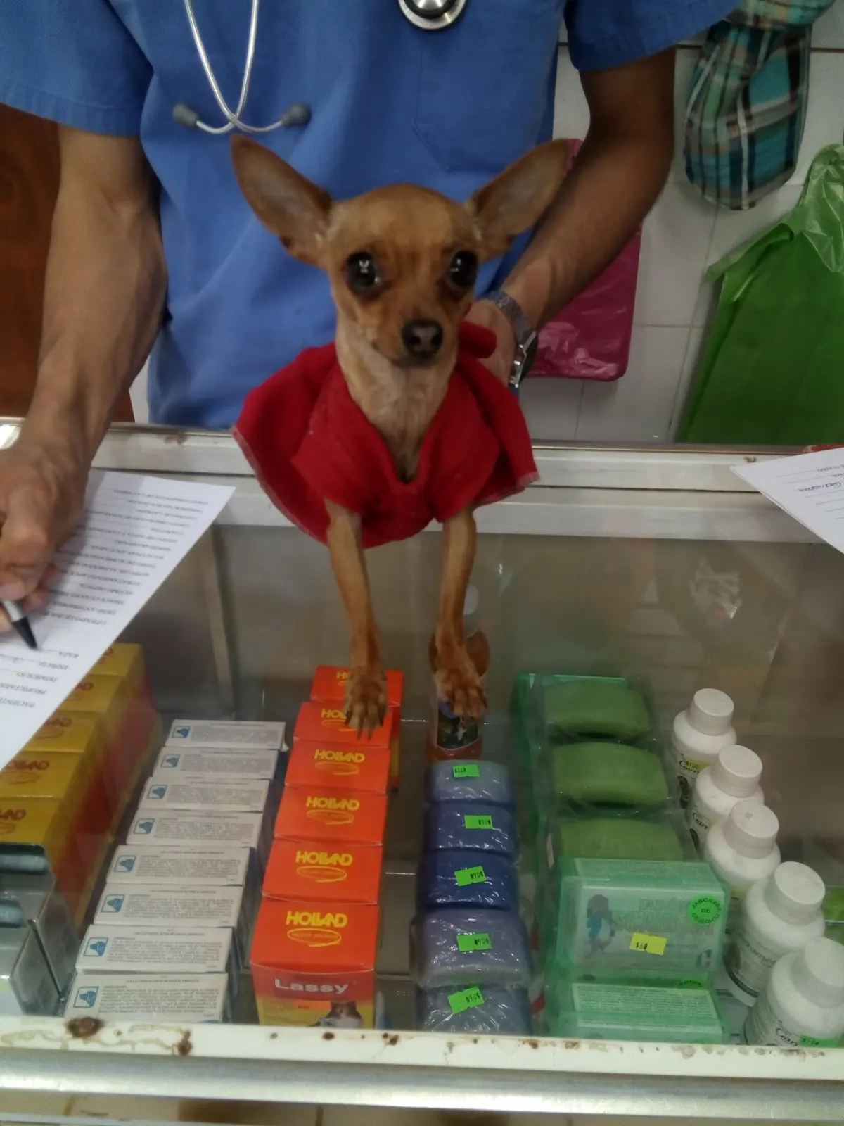 Clínica Veterinaria Reyes