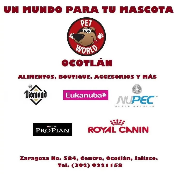 Pet World Ocotlán