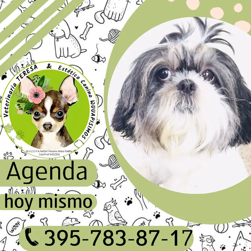 Veterinaria TERESA y Estética Canina WUUAPISIMOS — foto 2 de 2