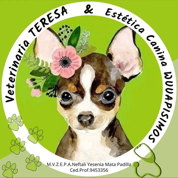 Veterinaria TERESA y Estética Canina WUUAPISIMOS