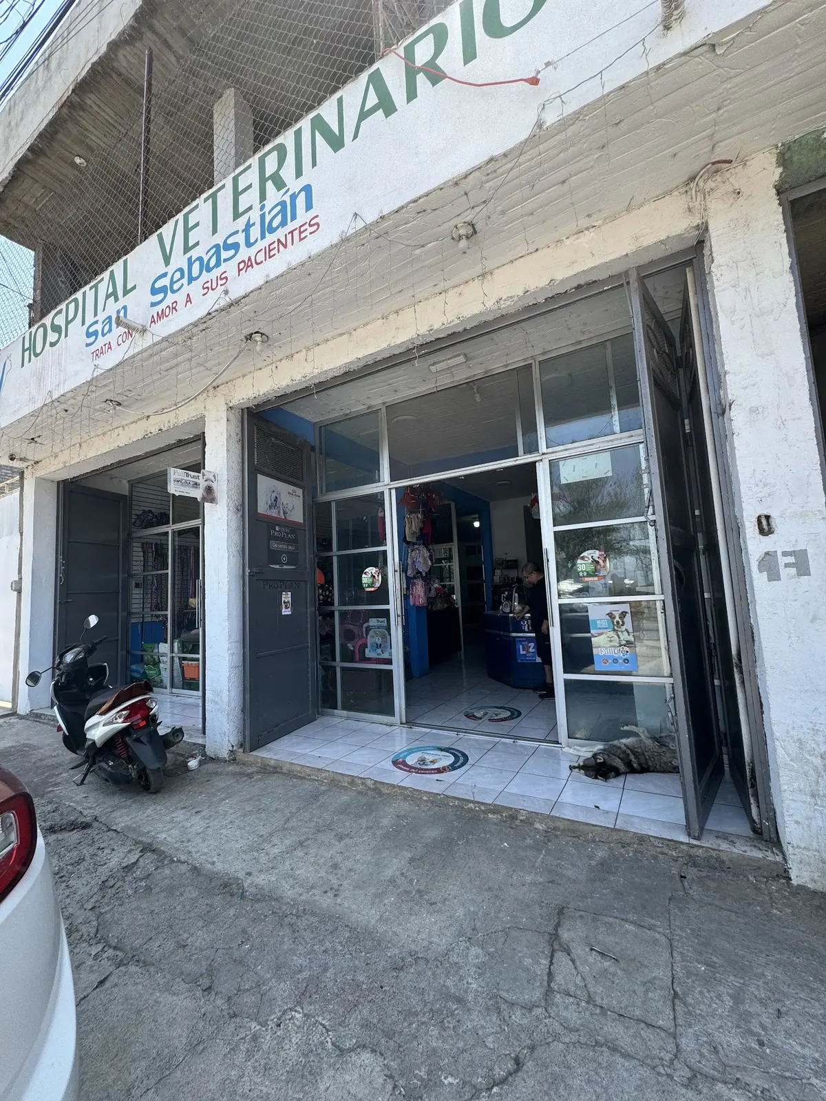 Veterinaria Hospital Veterinario
