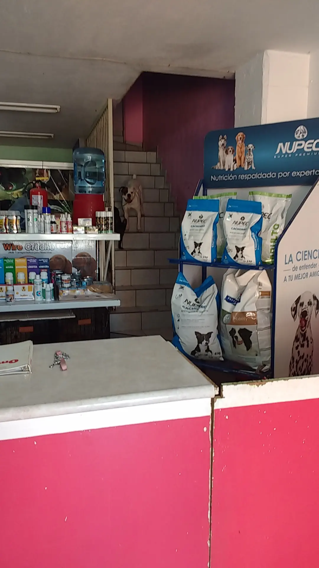 Clínica Veterinaria El Circo De Periquita